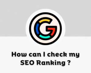 How can I check my SEO Ranking?